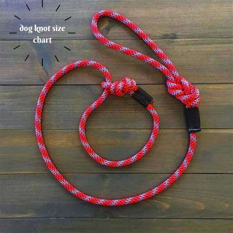 dog knot men|Dog Knot: Everything you need to know.